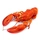 Crustaceans (lobster, crab, spiny lobster)