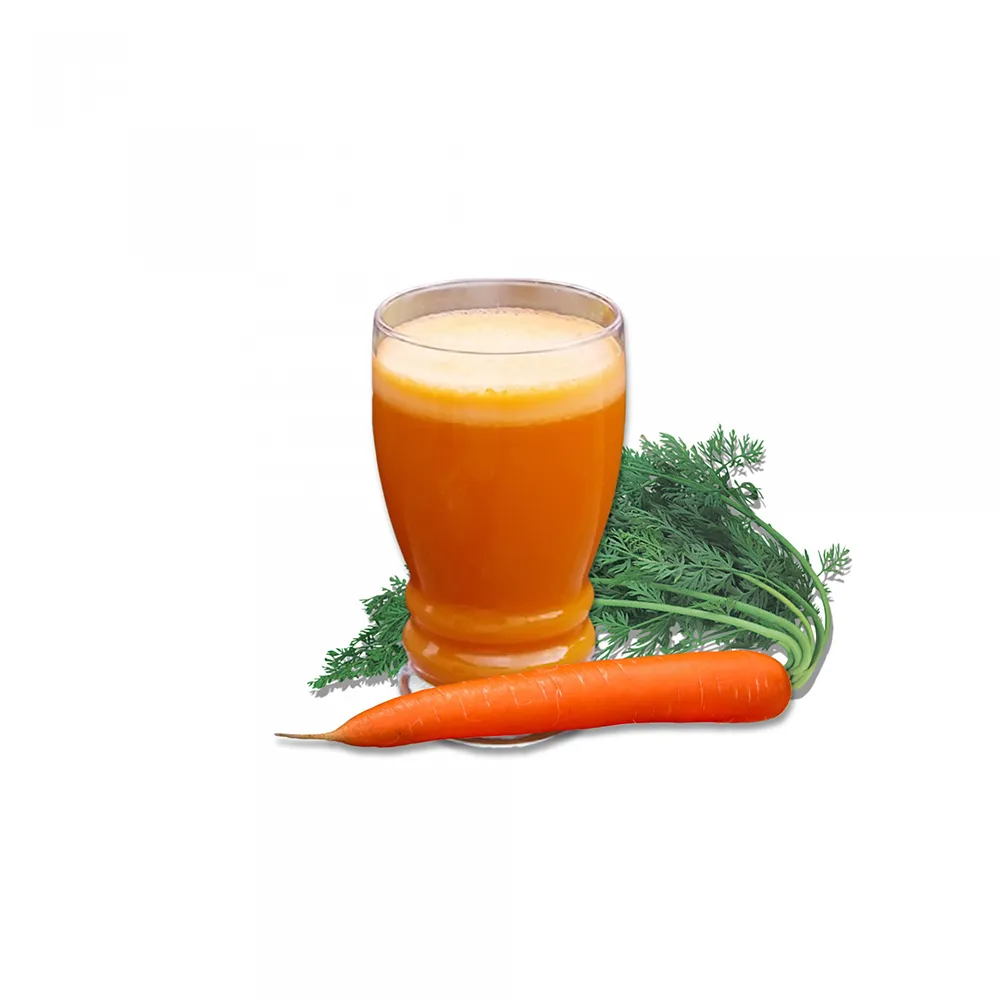 Jugo de zanahoria (sin azúcar)
