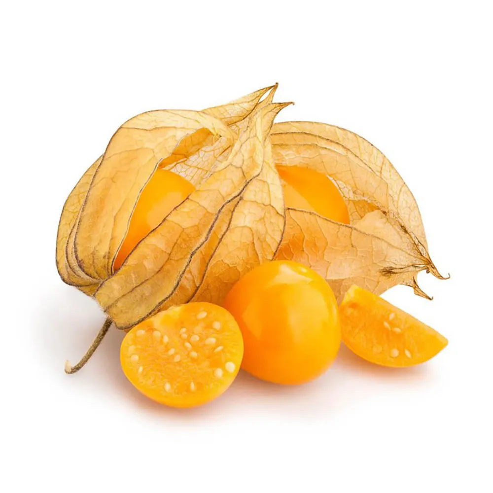 Physalis