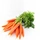 Zanahoria (fresca)