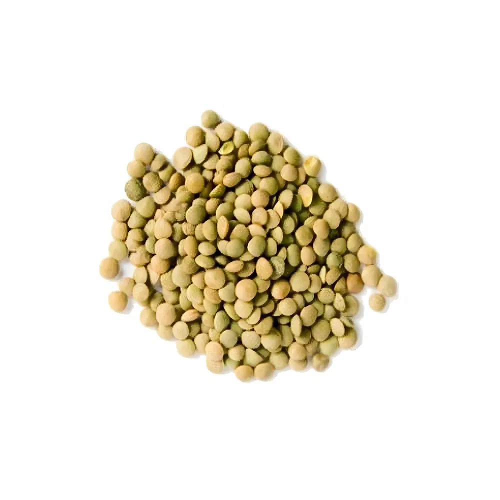 Lentils (green)