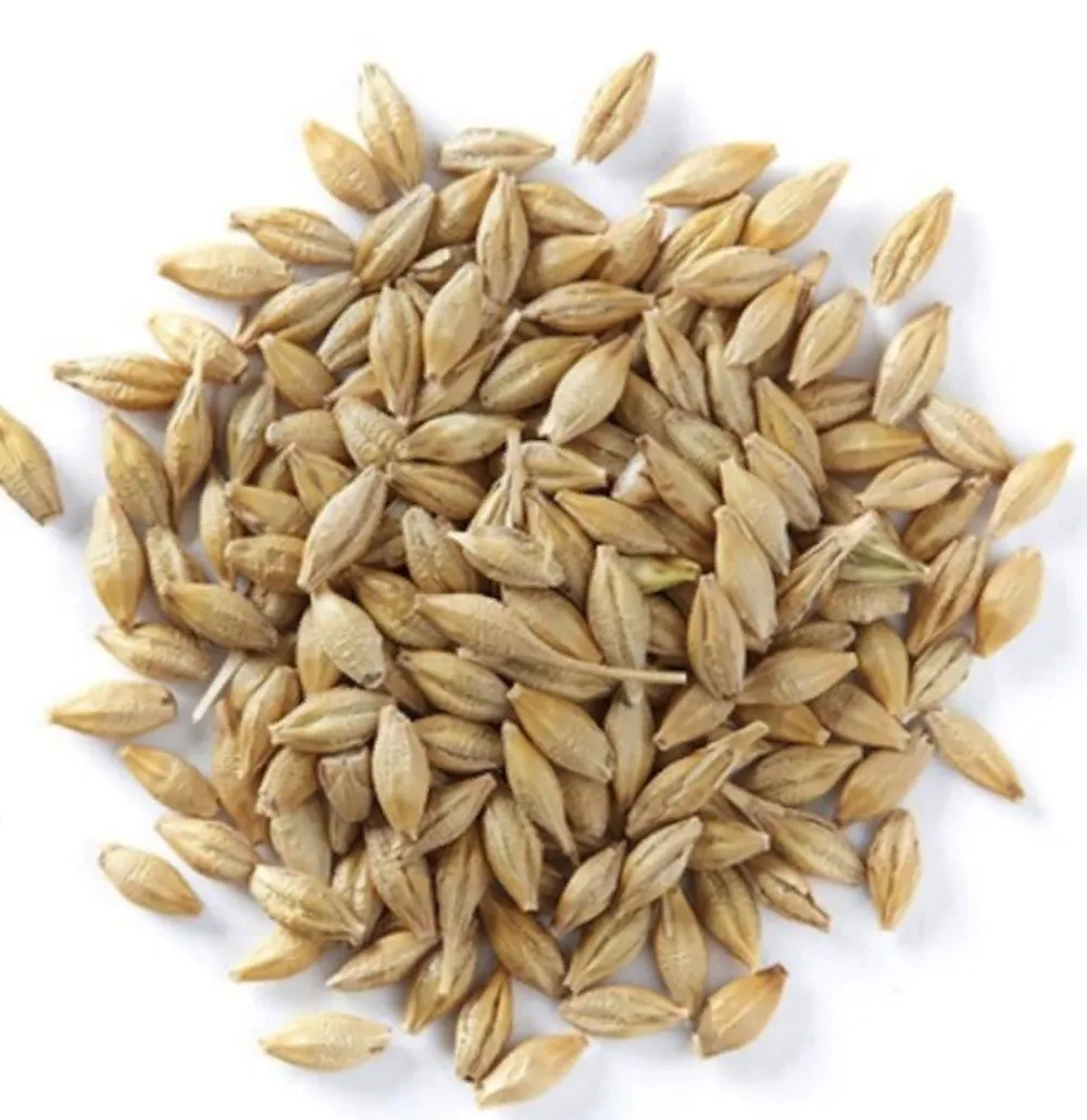 Whole Grain (Rye)