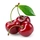 Cherry (sweet, fresh)