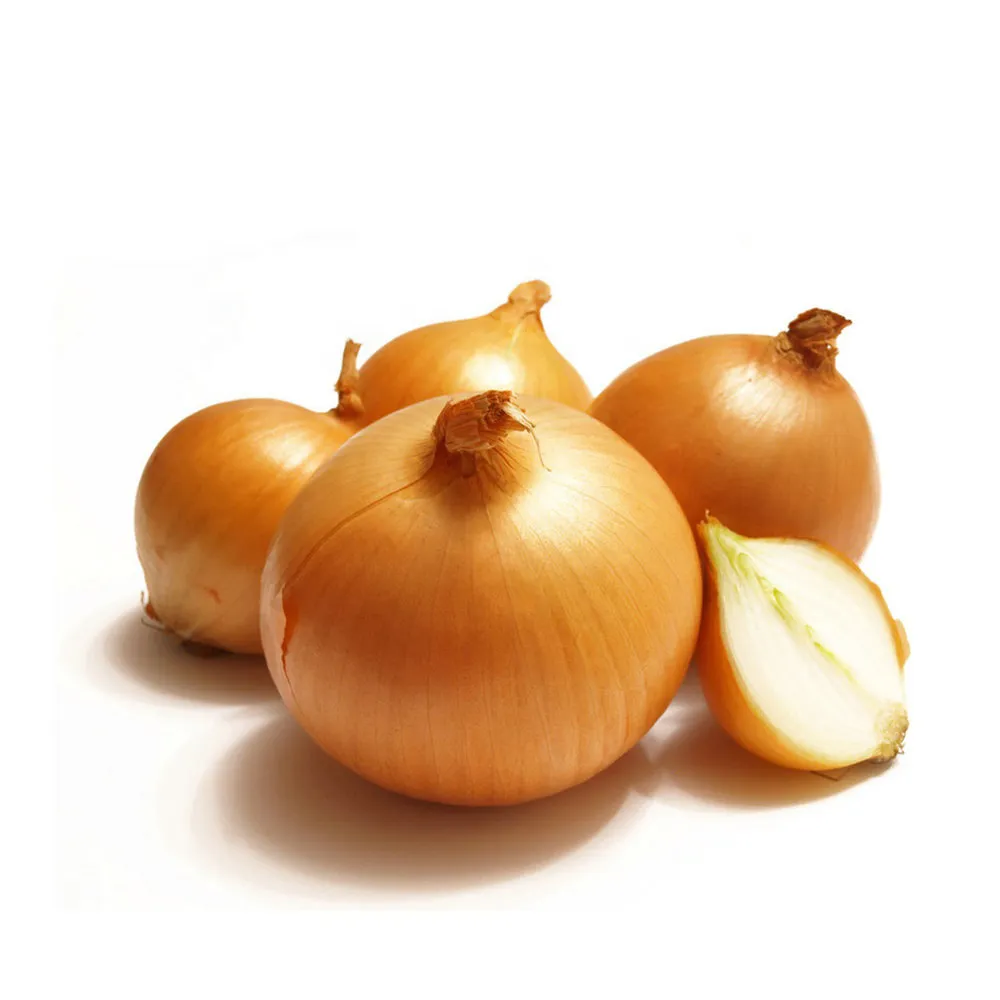 Onion (fresh)