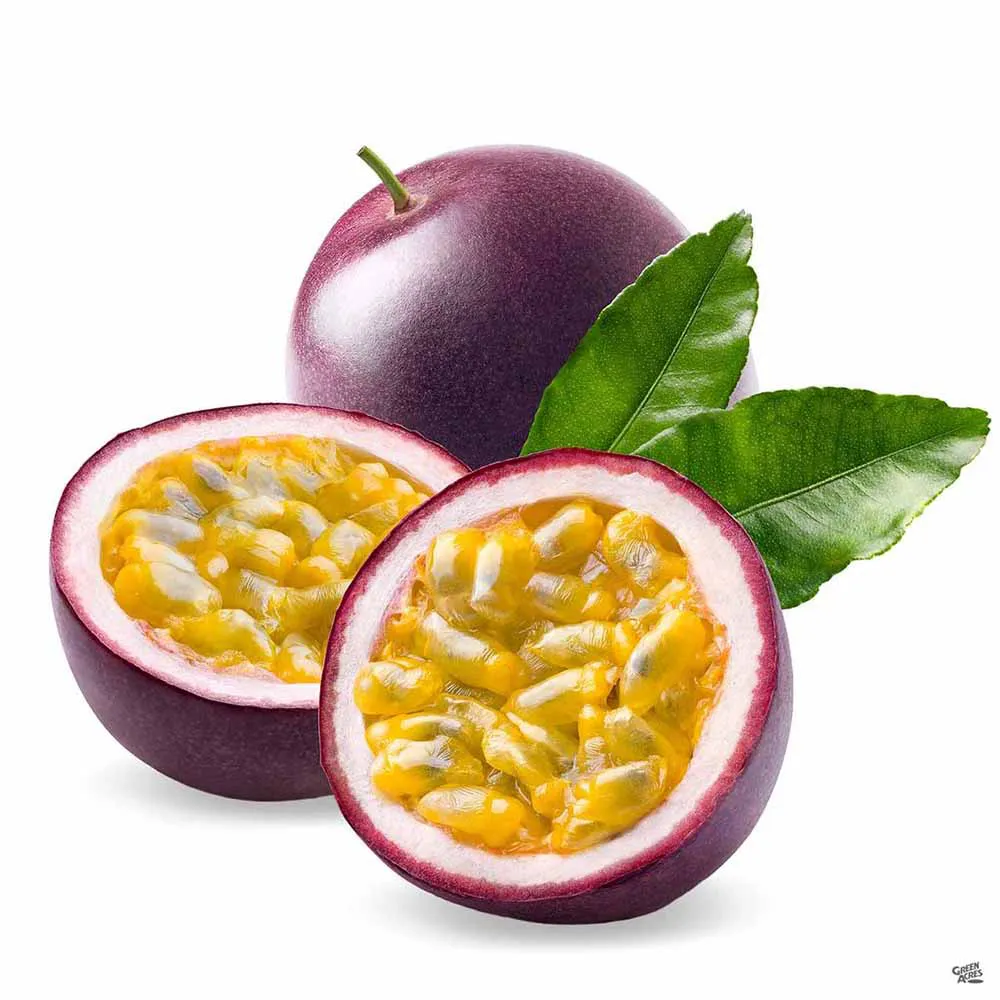 Yellow Passionfruit Information and Facts