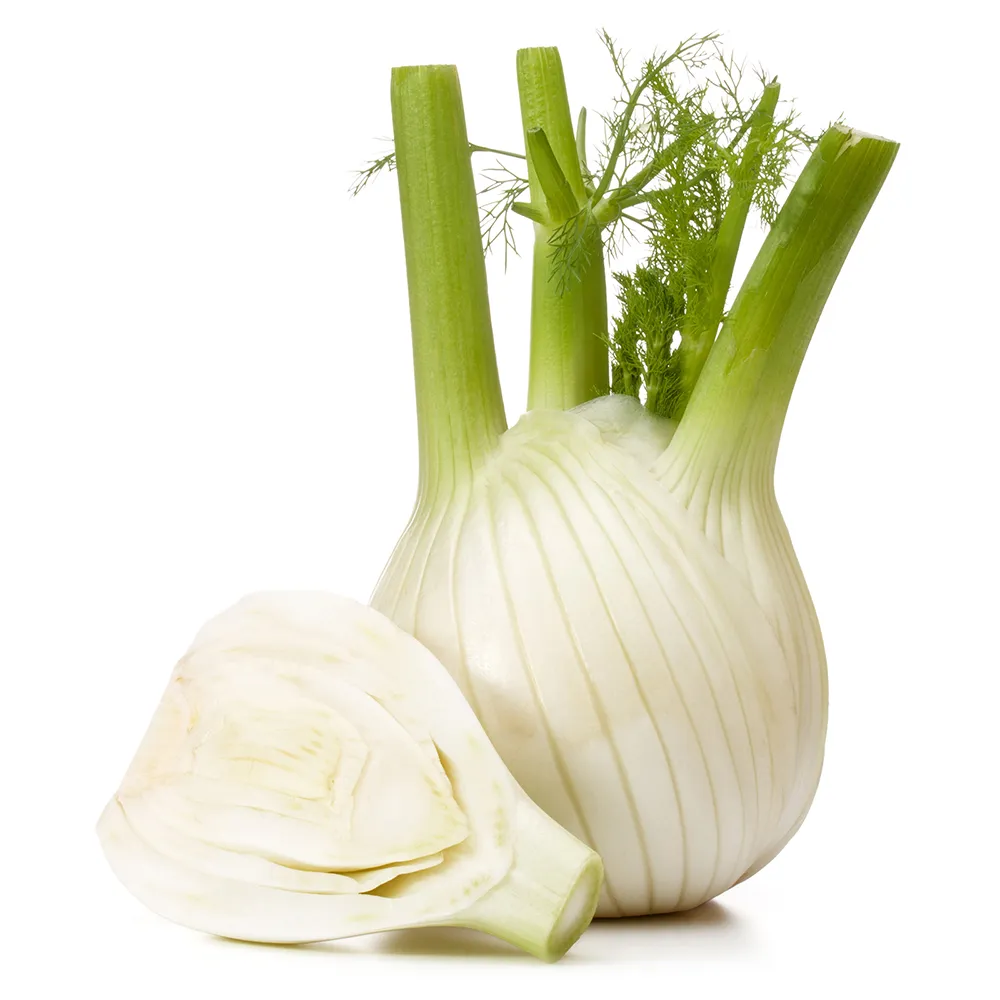 Glycemic index of fennel The glycemic index (GI) of fennel equals to 15, wh...