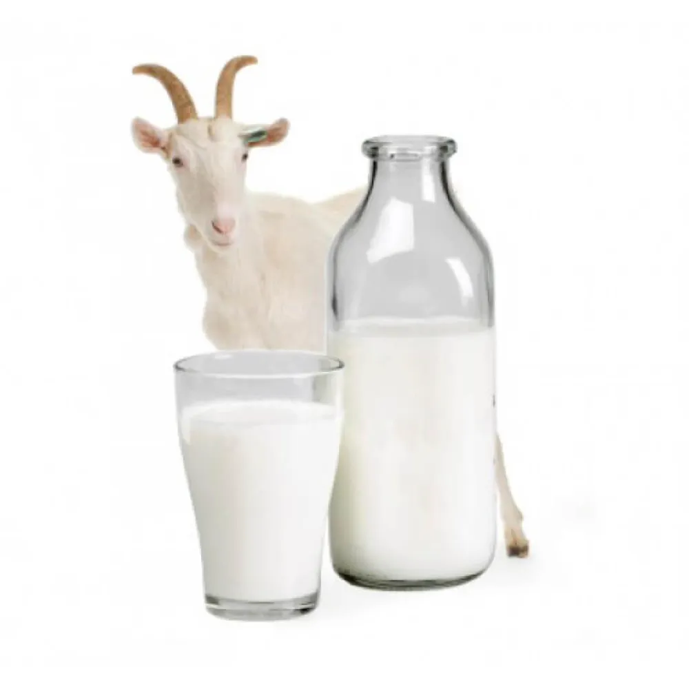 Goat milk clearance