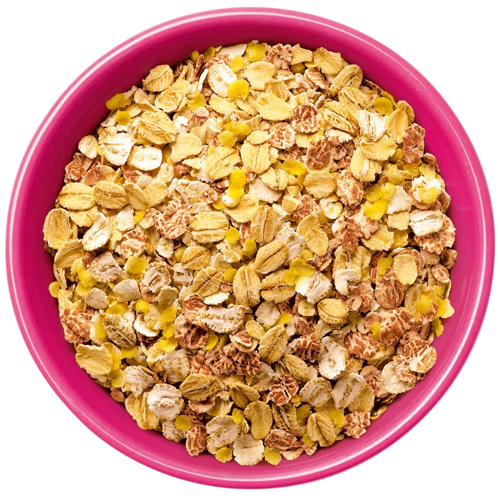A mixture of refined cereals with sugar