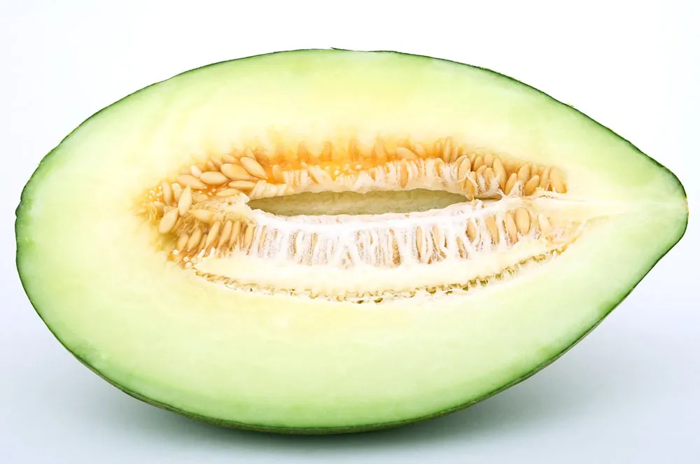 Melon