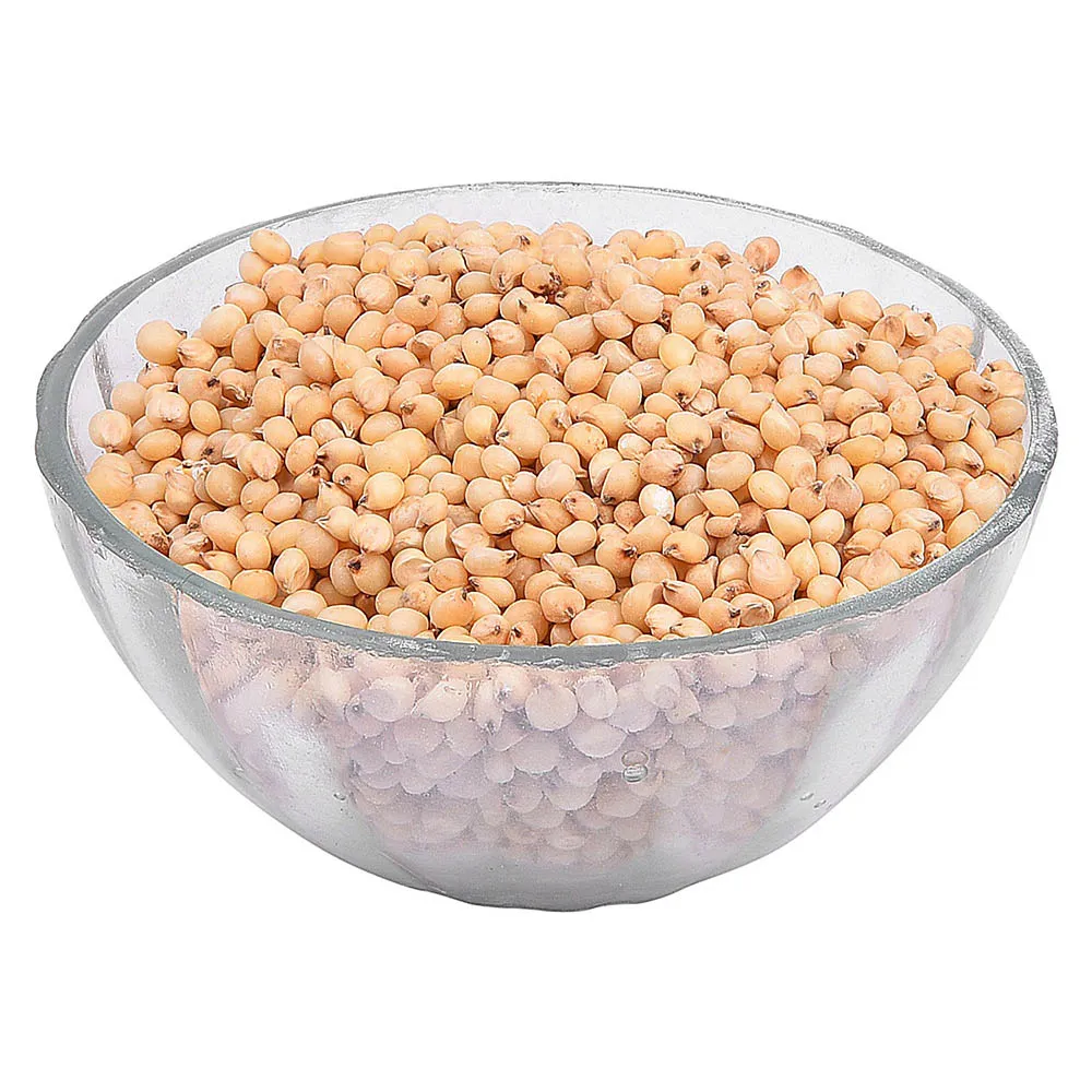 Sorghum