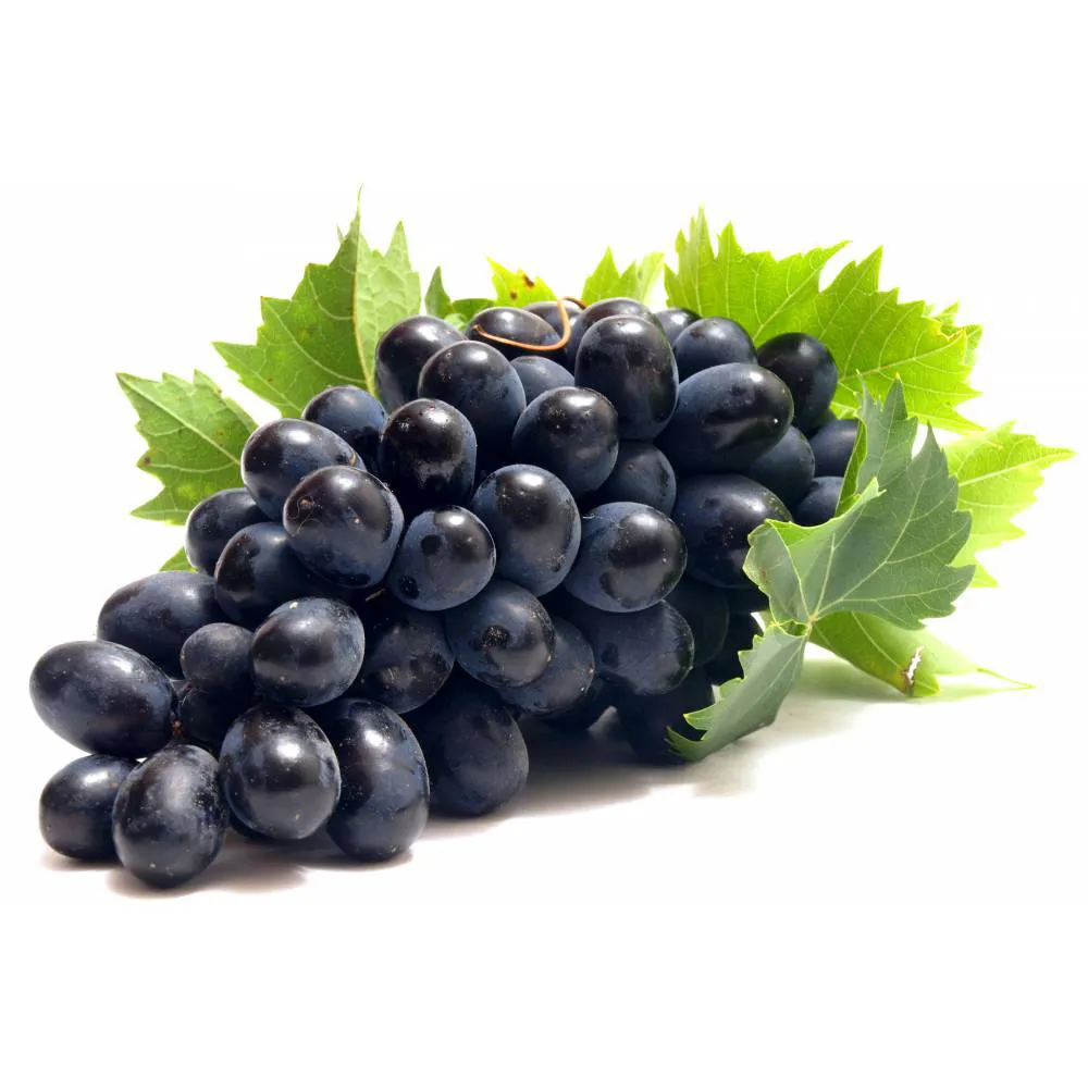 black grapes fruit