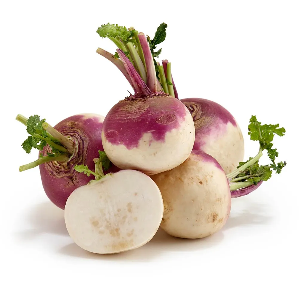Turnip, turnip (fresh)