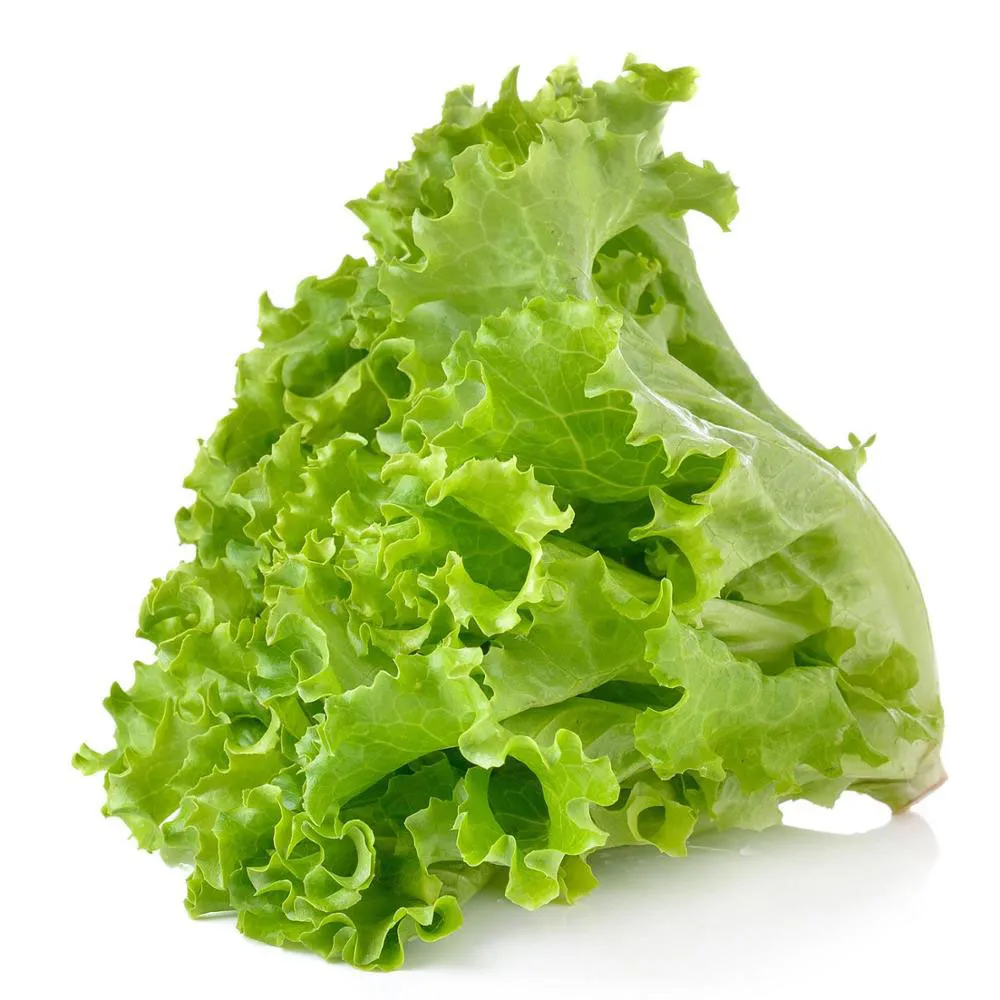 Salat (frisch)