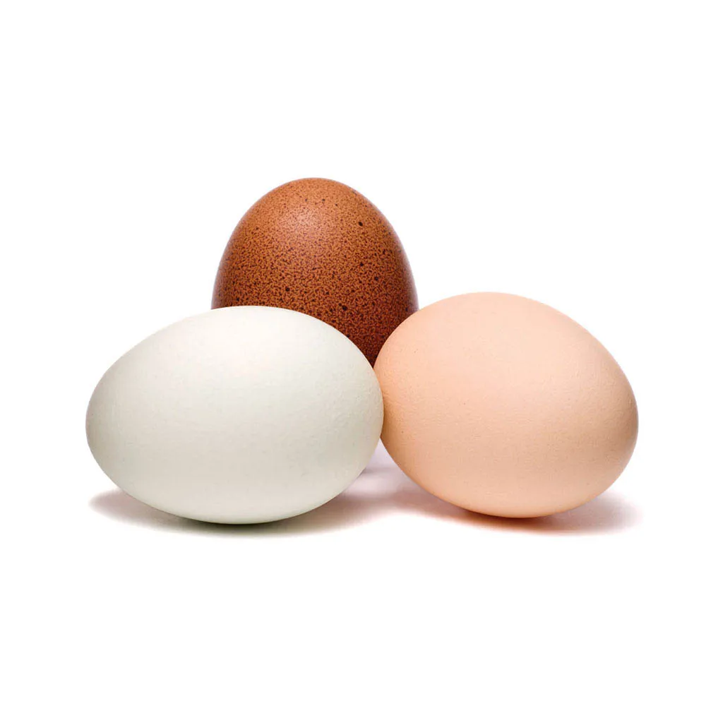 Glycemic index of egg