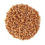 Glycemic Index of Whole Grain Wheat